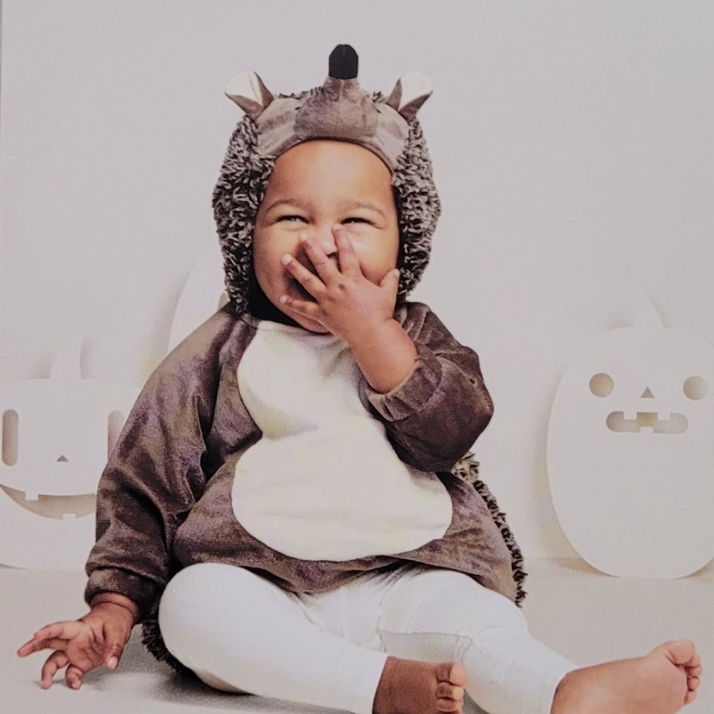 NWT 0-6M Infant Hedgehog Costume - Hyde and Eek
